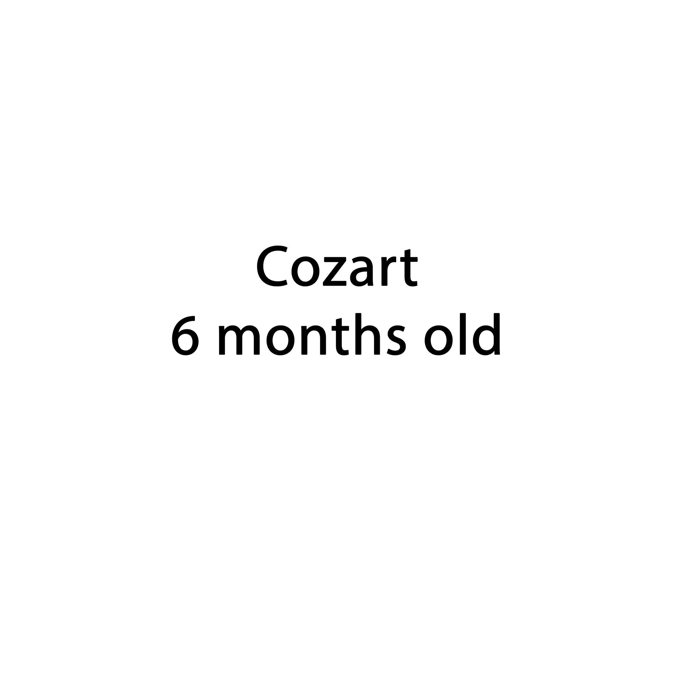 Cozart 6 months old 